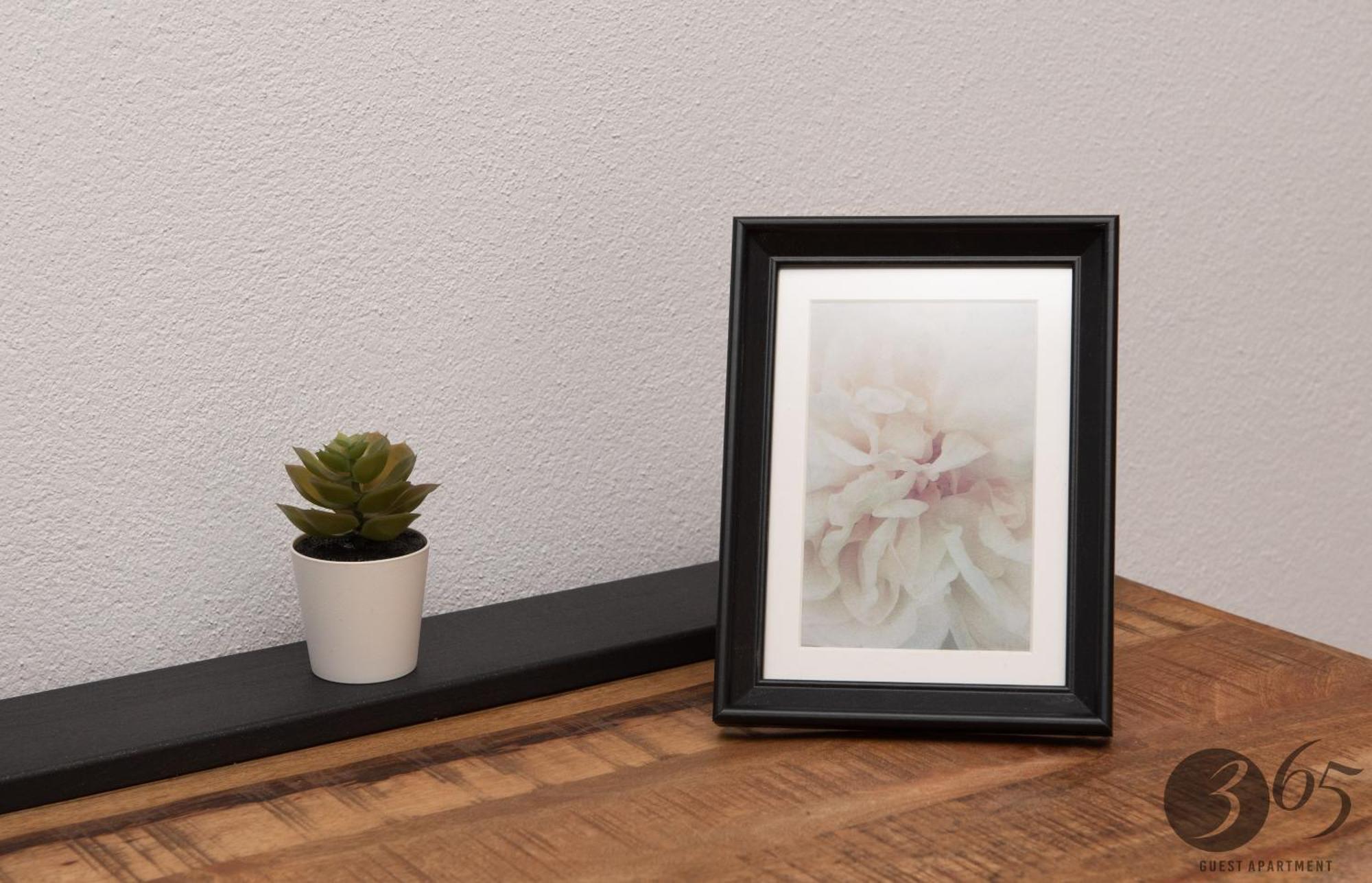 365 Guest Apartment ฮูเนโดอารา ภายนอก รูปภาพ
